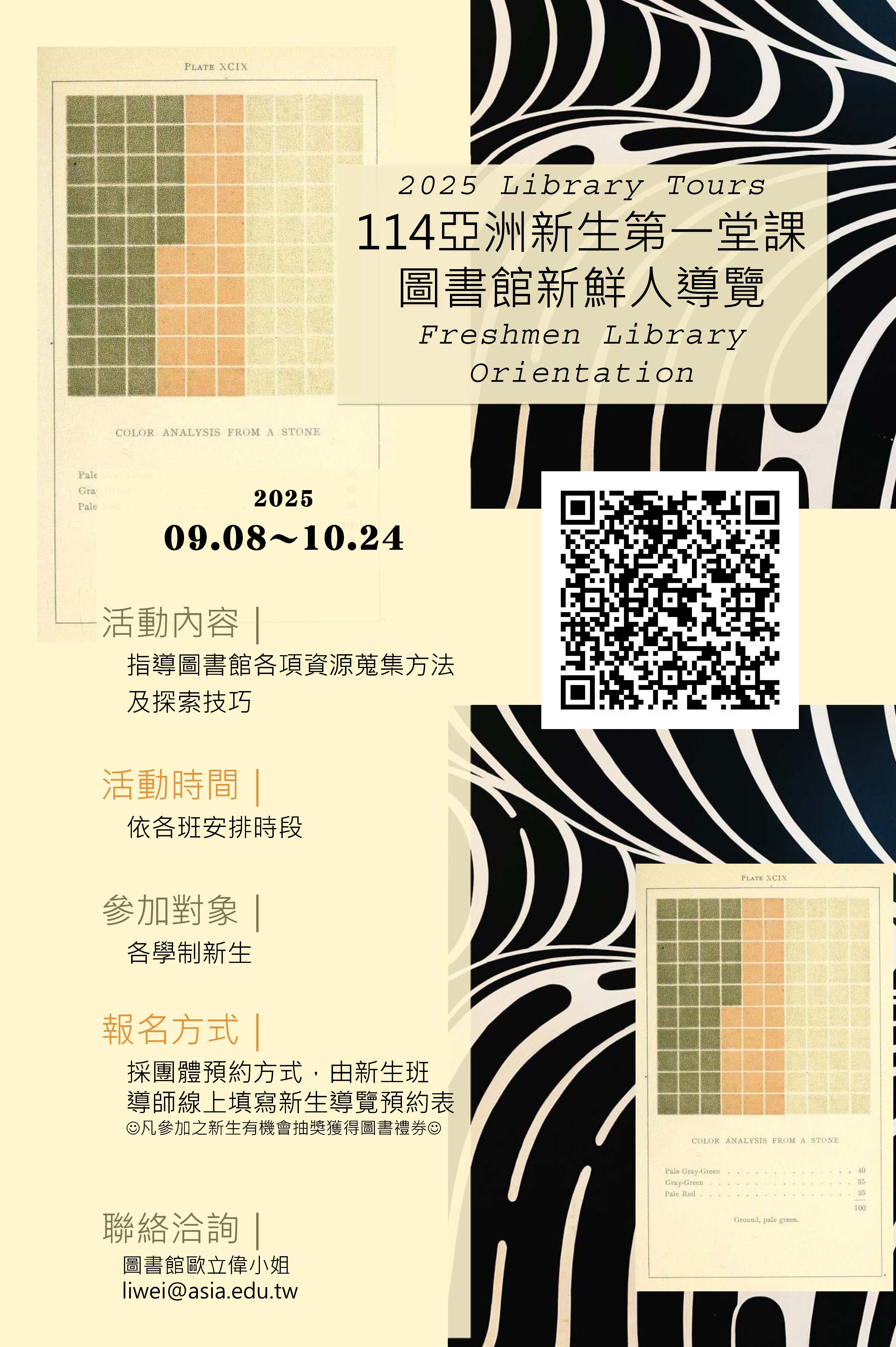 這是一張圖片